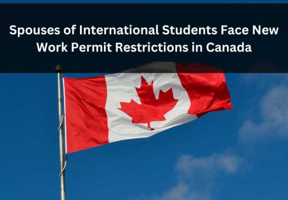 Orange Green Photo Autumn Harvest Instagram Post - 2026-03-11T094227.824