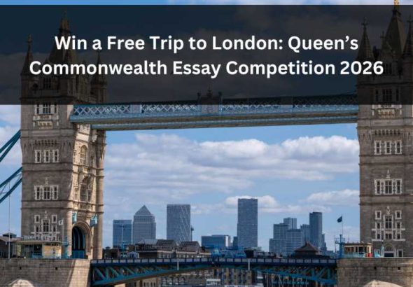 Orange Green Photo Autumn Harvest Instagram Post - 2026-03-12T121233.722