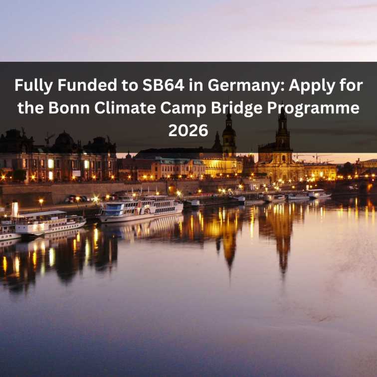 Orange Green Photo Autumn Harvest Instagram Post - 2026-03-22T094326.228