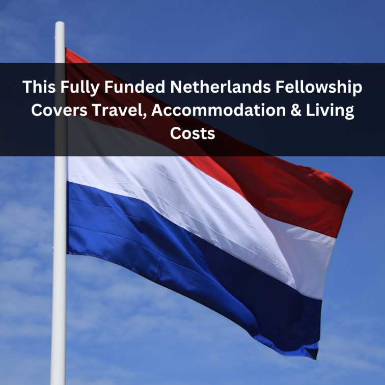 Orange Green Photo Autumn Harvest Instagram Post - 2026-03-26T065925.383