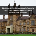 Orange Green Photo Autumn Harvest Instagram Post - 2026-03-30T075144.372