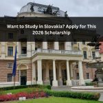 Orange Green Photo Autumn Harvest Instagram Post - 2026-04-14T082426.177