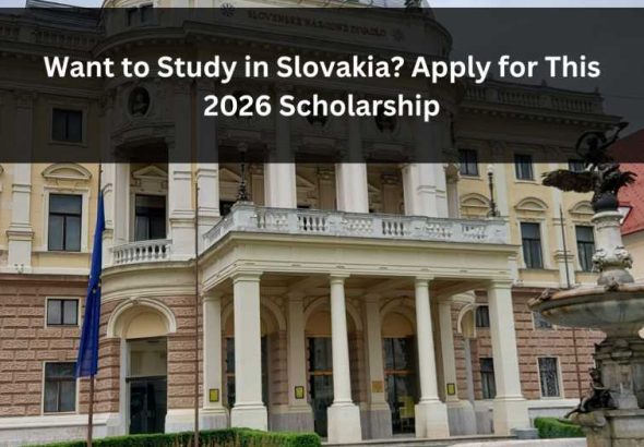 Orange Green Photo Autumn Harvest Instagram Post - 2026-04-14T082426.177