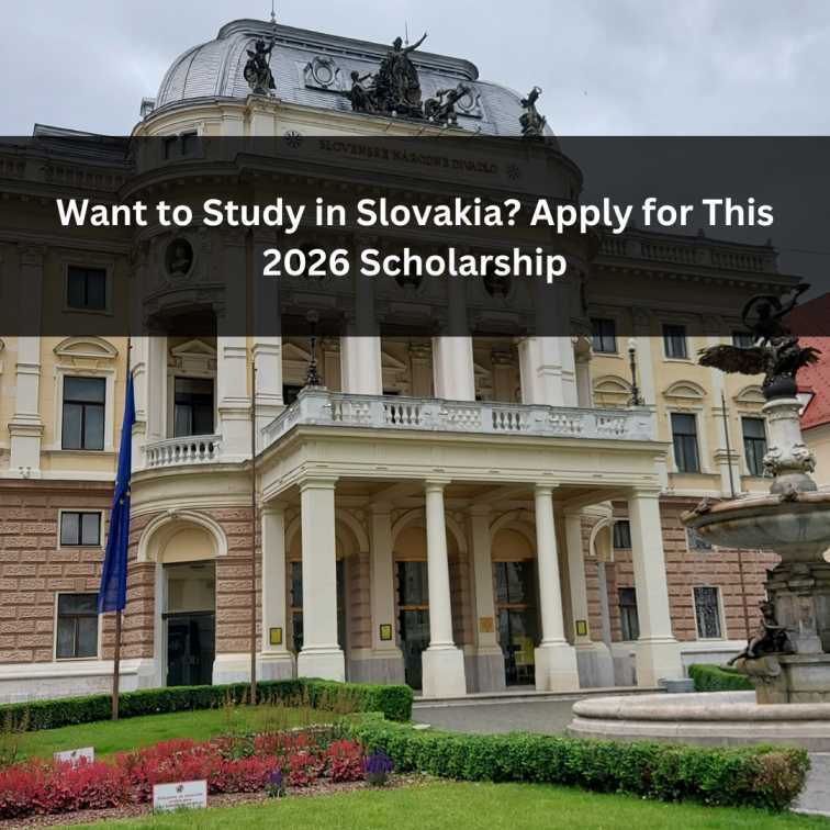 Orange Green Photo Autumn Harvest Instagram Post - 2026-04-14T082426.177