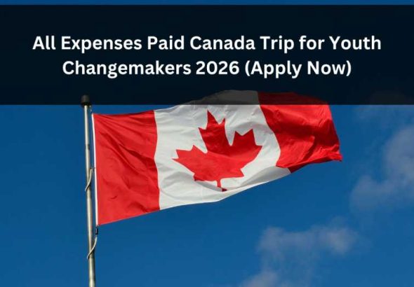 Orange Green Photo Autumn Harvest Instagram Post - 2026-04-19T125017.547